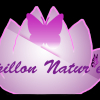 Illustration de PAPILLON 🦋 NATUR'ELLE