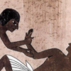 Illustration de Le Hingrat Anne-Claire 