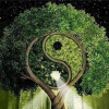 Illustration de massothérapie-polarité