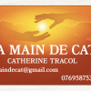 Illustration de LA MAIN DE CAT