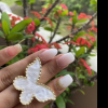 Image of Your Nails 